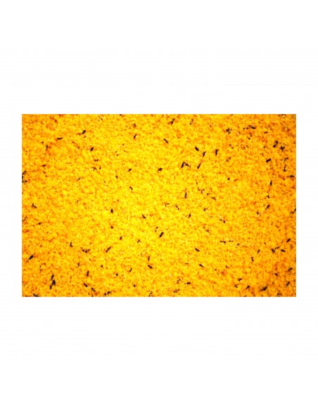 RAFF HOLLAND COVA 300gr. RAFF HOLLAND COVA 300gr.
