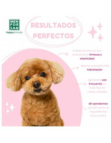 MENFORSAN CHAMPU ACONDICIONADOR 300ml.
