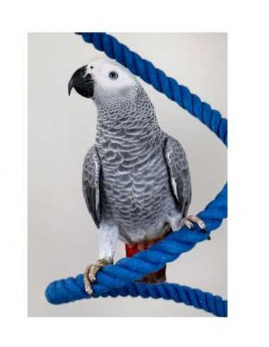 PSITTACUS PIENSO ALTA ENERGIA 800 GR.