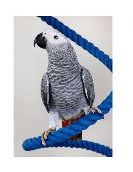 PSITTACUS PIENSO ALTA ENERGIA 800 GR. PSITTACUS PIENSO ALTA ENERGIA 800 GR.