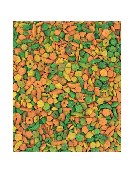 NUTRIBIRD P15 TROPICAL 1 KG. VERSELE-LAGA NUTRIBIRD P15 TROPICAL 1 KG. VERSELE-LAGA
