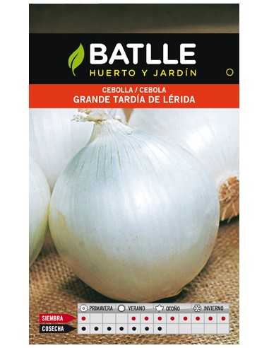 CEBOLLA GRANDE TARDIA DE LERIDA SOBRE