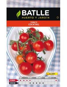 TOMATE MINI BELL CHERRY