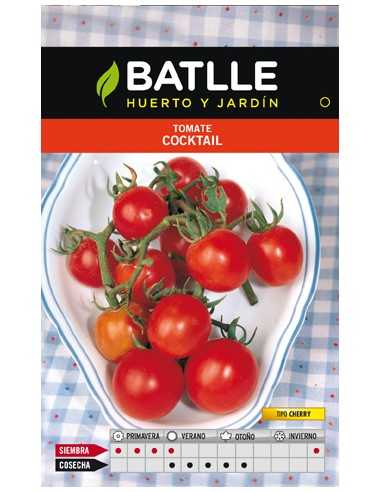 TOMATE MINI BELL CHERRY