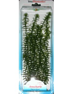 PLANTA ANACHARIS PLUS,20-25 CM.
