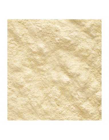 PAPILLA NUTRIBIIRD HANDMIX 500 GR.