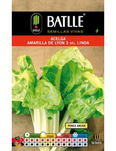 ACELGA AMARILLA DE LYON.LINDA SOBRE