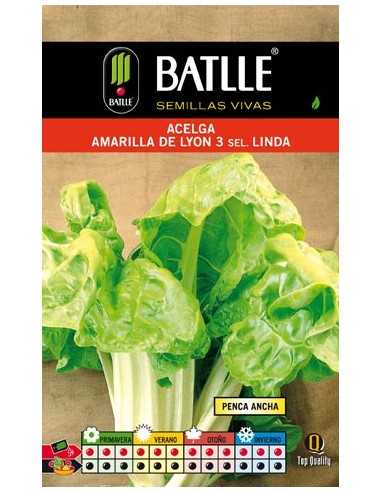 ACELGA AMARILLA DE LYON.LINDA SOBRE