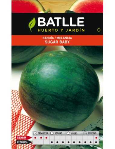 SANDIA SUGAR BABY SOBRE