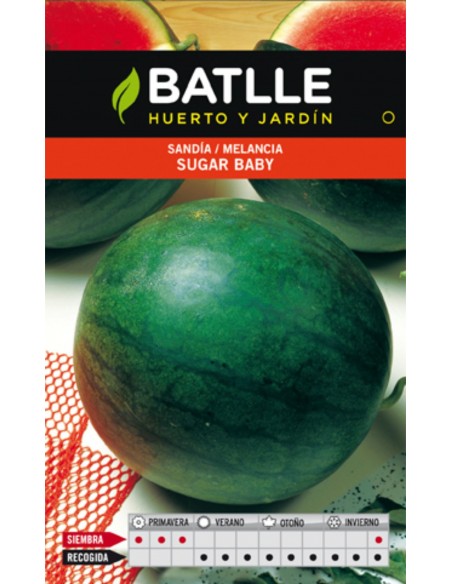 SANDIA SUGAR BABY SOBRE