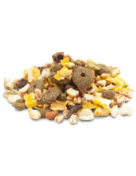 CRISPY SNACK POPCORN 650 GR. VERSELE LAGA