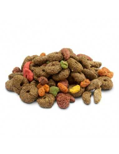CRISPY SNAK FIBRAS 650 GR. VERSELE-LAGA