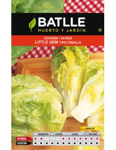 LECHUGA LITTLE GEM COGOLLO