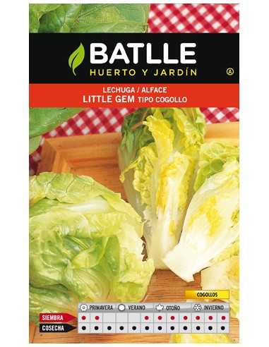 LECHUGA LITTLE GEM COGOLLO