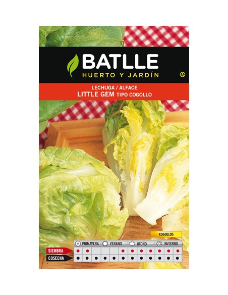 LECHUGA LITTLE GEM COGOLLO