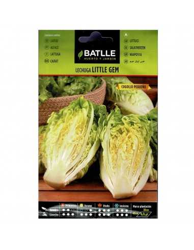 LECHUGA LITTLE GEM COGOLLO