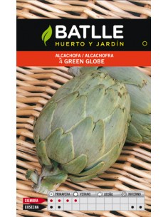 ALCACHOFA GREEN GLOBE