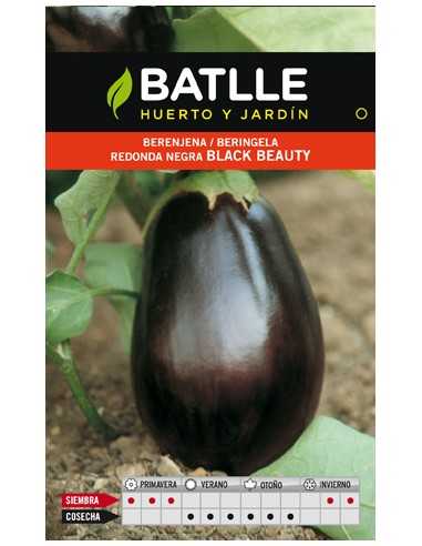 BERENJENA REDONDA BLACK BEAUTY