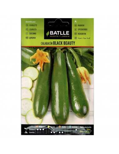 CALABACIN BLACK BEAUTY SOBRE