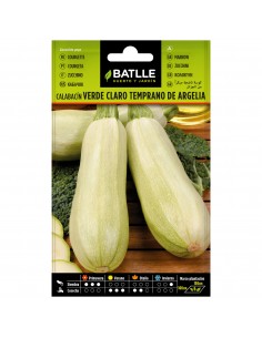 CALABACIN TEMPRANO ARGELIA