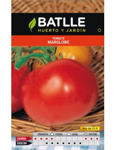 TOMATE MARGLOBE