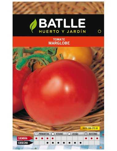TOMATE MARGLOBE