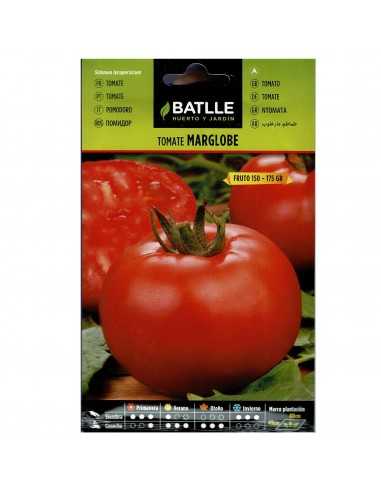 TOMATE MARGLOBE