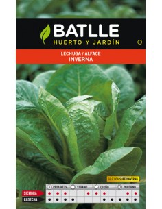 LECHUGA INVERNA S.SUPERINVERNA