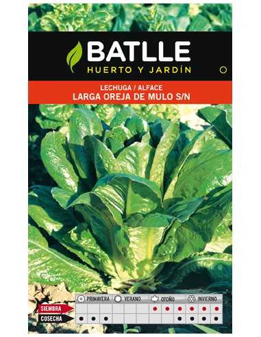 LECHUGA LARGA OREJA DE MULO