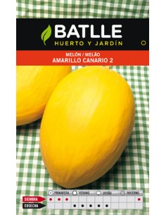 MELON AMARILLO CANARIO