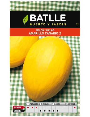 MELON AMARILLO CANARIO