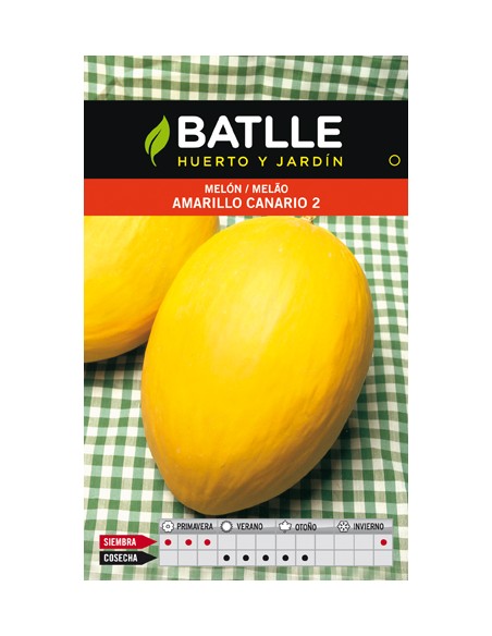 MELON AMARILLO CANARIO