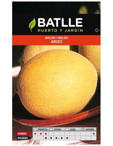 MELON ARIZO