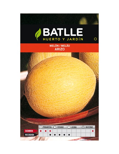 MELON ARIZO