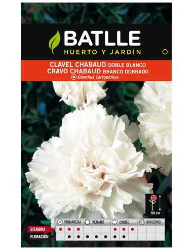 CLAVEL CHABAUD BLANCO SOBRE
