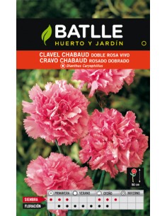 CLAVEL CHABAUD ROSA