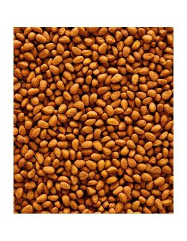 NUTRIBIRD G14 ORIGINAL 1KG. VERSLE-LAGA