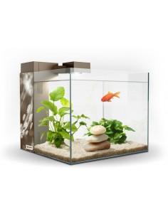 ACUARIO ZENEO 30 ECLAT
