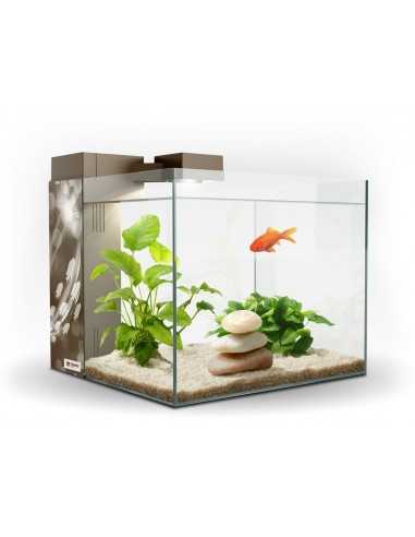ACUARIO ZENEO 30 ECLAT