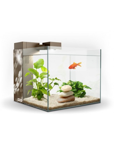 ACUARIO ZENEO 30 ECLAT