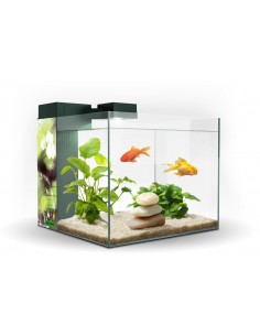 ACUARIO ZENEO 30 OBSESION
