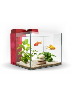 ACUARIO ZENEO 30 JUNGLE