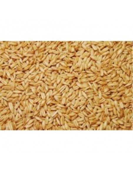 AVENA PELADA VINCI 1 KG.