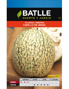 CALABAZA CABELLO ANGEL PASTELERA