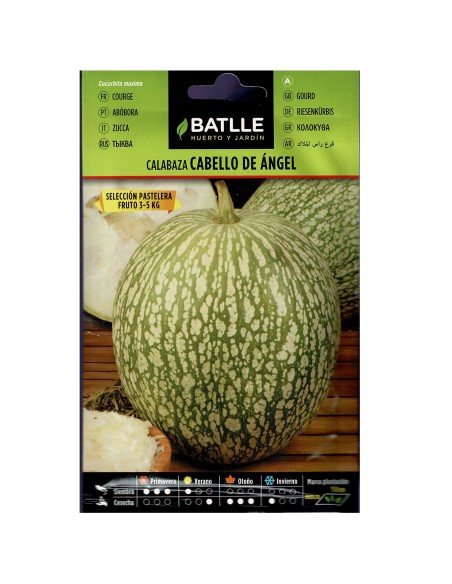 CALABAZA CABELLO ANGEL PASTELERA