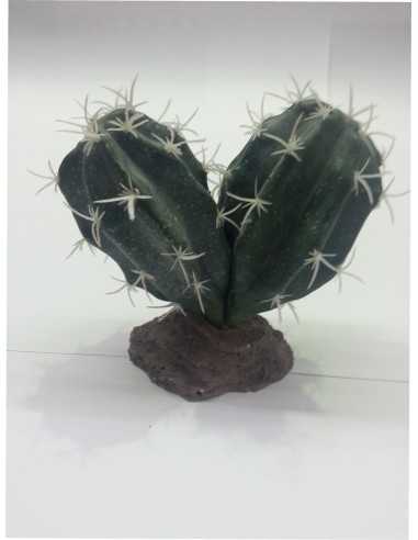 CACTUS SINAI 13 CM.