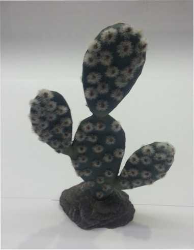 CACTUS SAHARA 19CM.