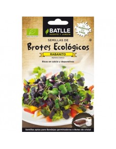 BROTES ECOLOGICOS RABANITO SANGO