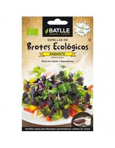 BROTES ECOLOGICOS RABANITO SANGO