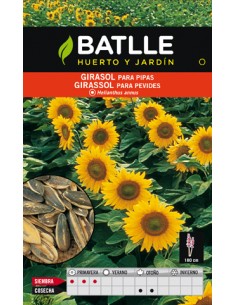 GIRASOL PARA PIPAS. BATLLE